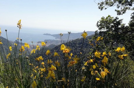 Rapallo - S. Maurizio dei monti - Passo della Crocetta - Pian dei merli - Rapallo