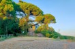 Rundweg San Rocco di Camogli - Semaforo Nuovo - Batterie