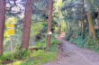 Itinéraire en boucle de Velva à Pietra di Vasca