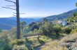 Circular trail from Velva to Pietra di Vasca