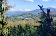 Circular trail from Velva to Pietra di Vasca