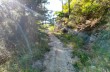 Circular trail from Velva to Pietra di Vasca