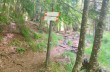 Rundweg Santo Stefano d'Aveto - Torrio - Valle Tribolata