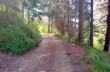 Rundweg Santo Stefano d'Aveto - Torrio - Valle Tribolata