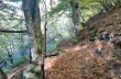 Rundweg Santo Stefano d'Aveto - Torrio - Valle Tribolata