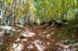 Rundweg Santo Stefano d'Aveto - Torrio - Valle Tribolata