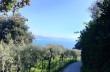 Portofino Vetta - Prato - Base O - San Fruttuoso - Semaforo Nuovo