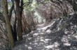 Portofino Vetta - Prato - Base O - San Fruttuoso - Semaforo Nuovo