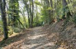Portofino Vetta - Prato - Base O - San Fruttuoso - Semaforo Nuovo