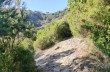 Portofino Vetta - Prato - Base O - San Fruttuoso - Semaforo Nuovo