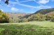 Rundweg Statale - Passo del Biscia - Arzeno - Monte Chiappozzo