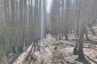 Rundweg von Casermette zum Monte Aiona und Prato Mollo