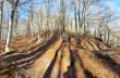 Rundweg von Ertola über Monte Montarlone und Monte Oramara