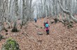 Rundweg von Villanoce zum Monte Aiona, Abstieg nach Magnasco