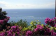 From San Rocco di Camogli to Punta Chiappa