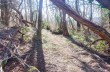 Itinéraire en boucle de Torriglia - Scoffera - Monte Lavagnola