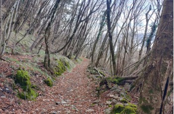 Rundweg da Torriglia - Scoffera - Monte Lavagnola