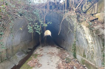 Rundweg da Torriglia - Scoffera - Monte Lavagnola