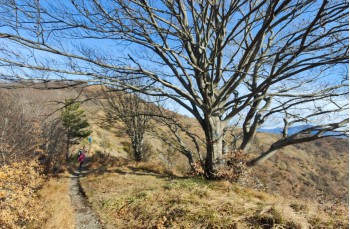 Trail ad anello da Torriglia - Scoffera - Monte Lavagnola