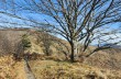 Rundweg da Torriglia - Scoffera - Monte Lavagnola