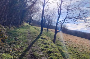 Circular trail from Torriglia - Scoffera - Monte Lavagnola