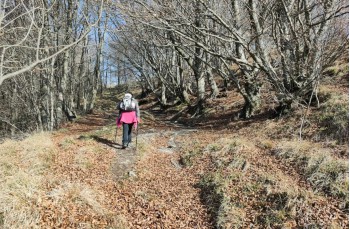 Circular trail from Torriglia - Scoffera - Monte Lavagnola