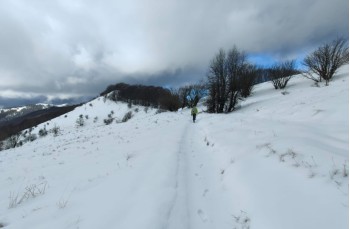 Trail da Casa del Romano - Monte Antola - Torriglia