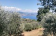 Cappelletta
