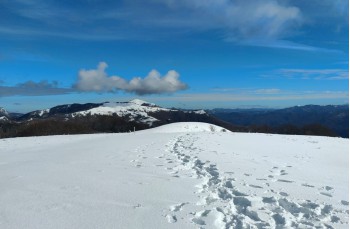 Trail Casa del Romano - Monte Antola - Torriglia