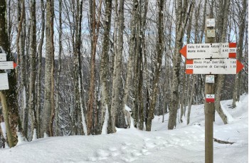 Trail da Casa del Romano - Monte Antola - Torriglia