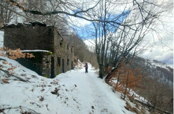 Trail da Casa del Romano - Monte Antola - Torriglia