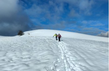 Trail da Casa del Romano - Monte Antola - Torriglia