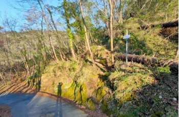 Rundweg Casarza Ligure - Monte Moneglia - Moneglia