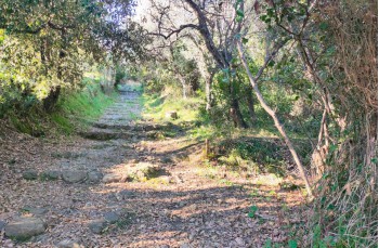 Trail ad anello Casarza Ligure - Monte Moneglia - Moneglia