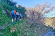 Circular trail Casarza Ligure - Monte Moneglia - Moneglia