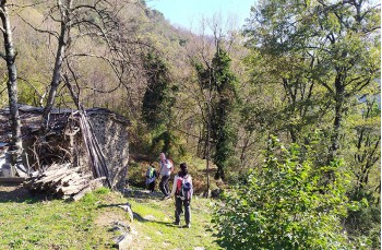 Scendendo a Montepegli