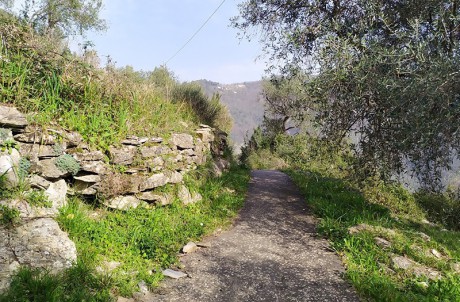 Località Forno