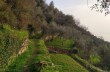 Zoagli - Cappelletta della Maddalena - Semorile - Zoagli