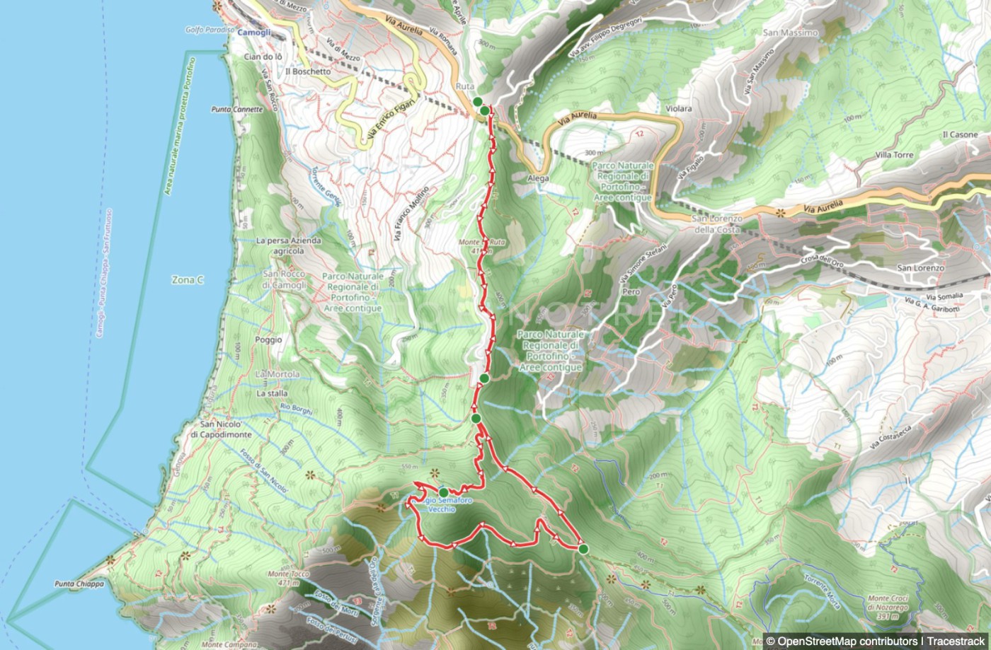 Trail ad anello Ruta - Portofino vetta - Semaforo vecchio - Pietre Strette - Ruta