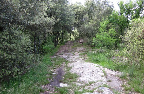 Sentiero presso Pianalunga