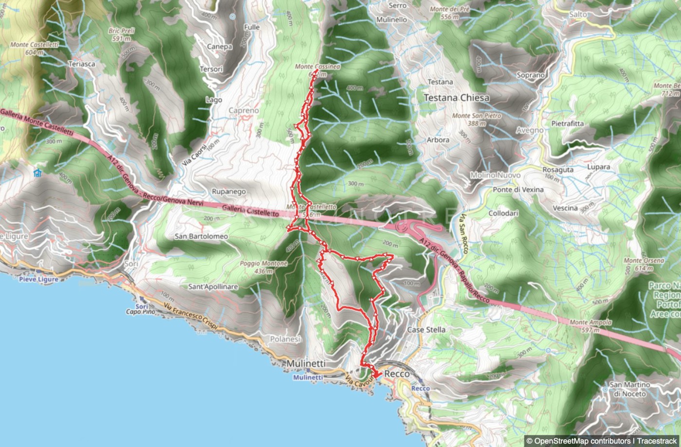 Trail ad anello Recco - Megli - Piane di Capreno - Monte Cassinea - Ageno