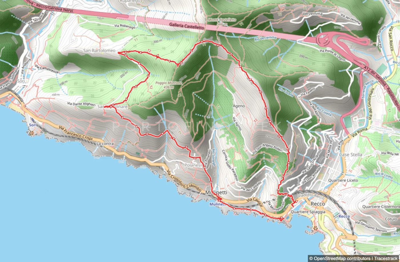 Trail ad anello Recco - Megli - Redentore - S. Apollinare - Polanesi - Mulinetti