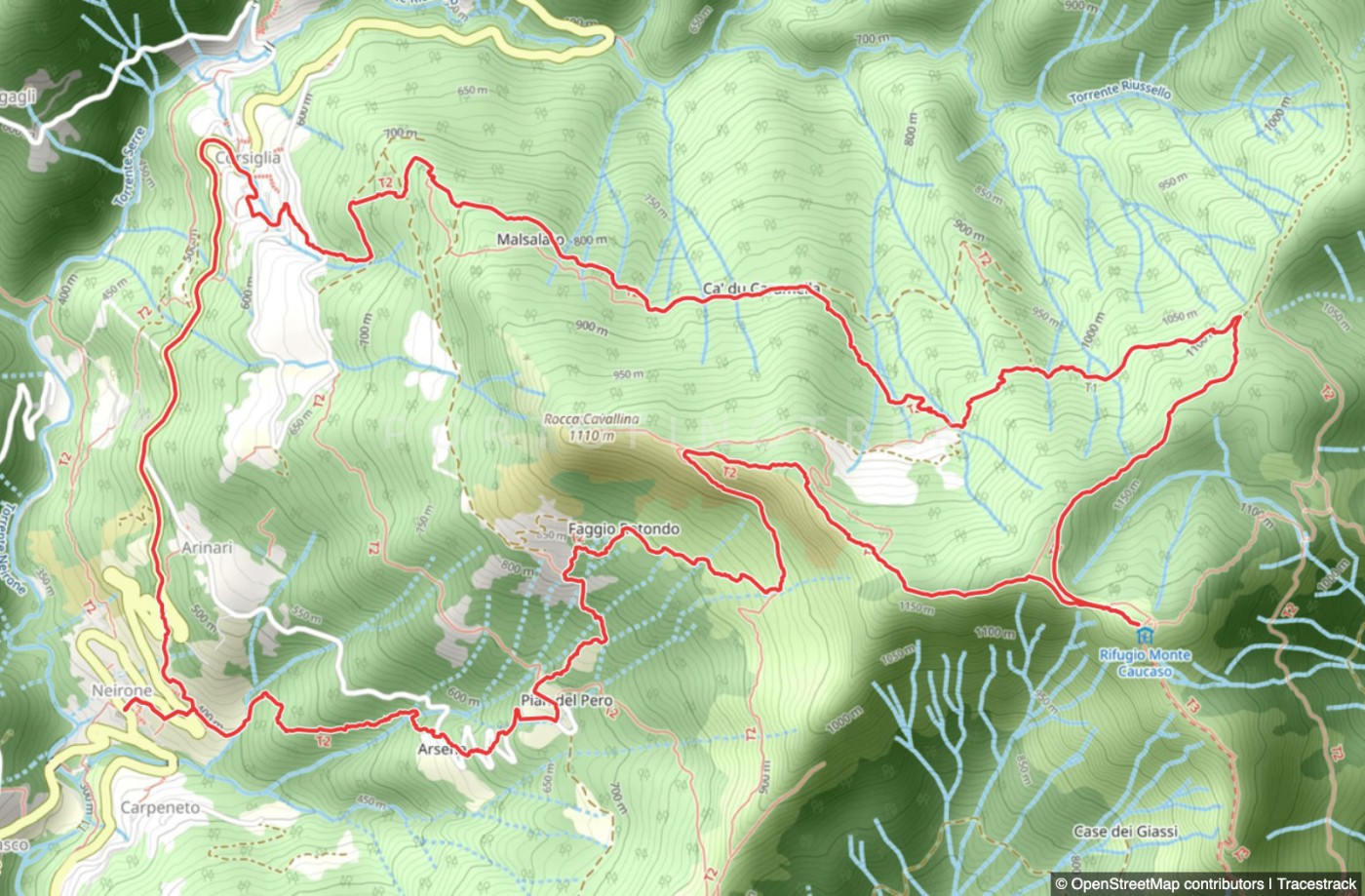 Neirone - Faggio Rotondo - Monte Caucaso - Corsiglia - Neirone