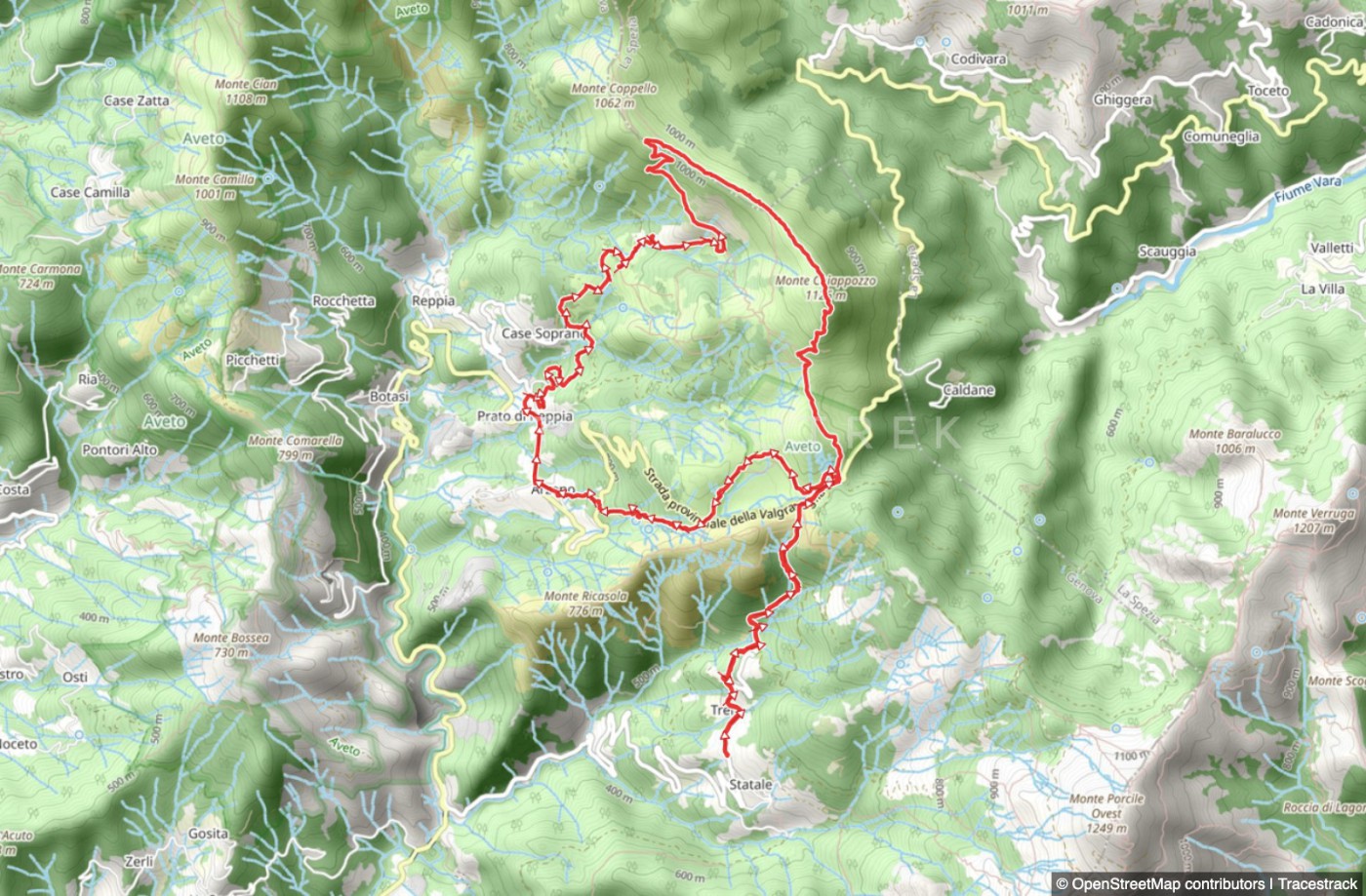Rundweg Statale - Passo del Biscia - Arzeno - Monte Chiappozzo