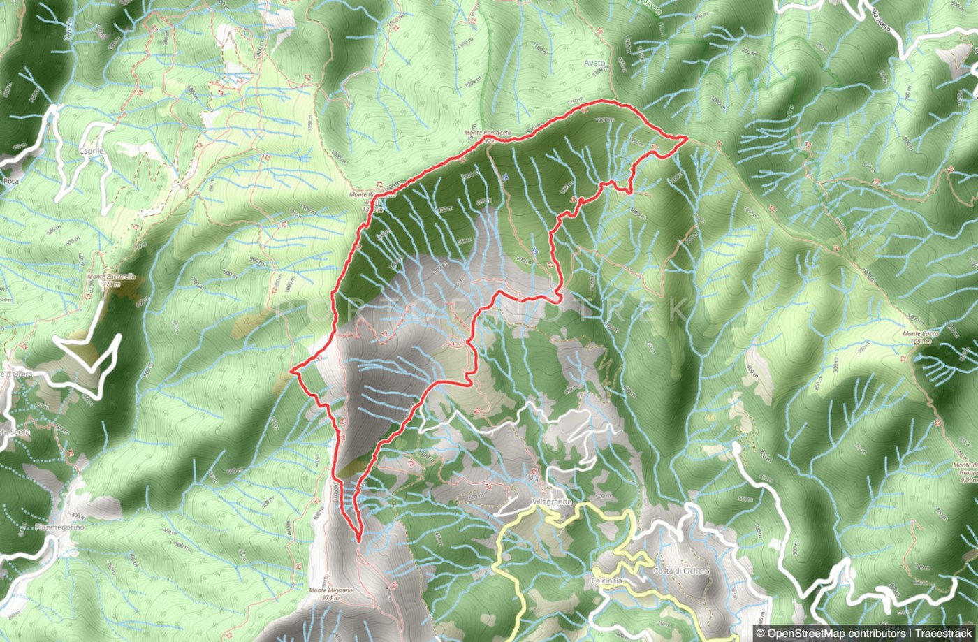 Rundweg Larvego - Monte Ramaceto - Fo' de Driun - Prati di Cichero
