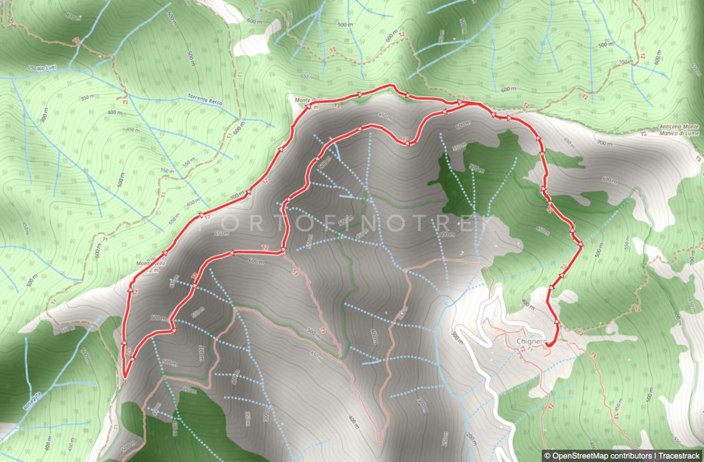 Chignero - Pendici Monte Bello - Monte Bello - Monte Borgo