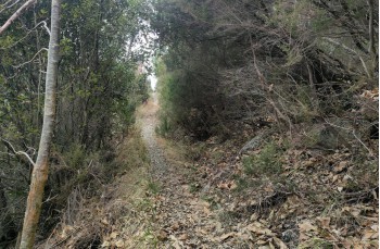 Trail ad anello dal Santuario di Velva per Pavareto e S. Nicolao