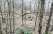 Trail ad anello dal Santuario di Velva per Pavareto e S. Nicolao