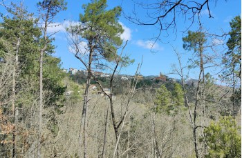 Rundweg dal Santuario di Velva per Pavareto e S. Nicolao