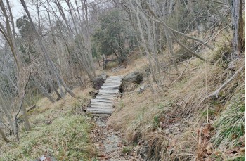 Trail ad anello dal Santuario di Velva per Pavareto e S. Nicolao